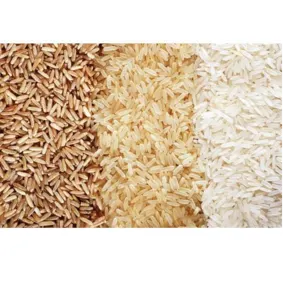 RICE - Image 2
