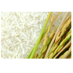 RICE by Retail Middle East LLC