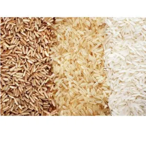 RICE - Image 2