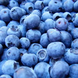 Quick-frozen blueberries