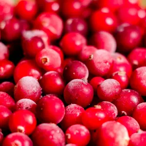 Frozen cranberries