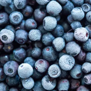 Frozen blueberries