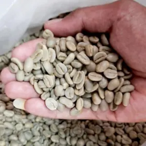 indonesia green mandhailing coffee beans by coffee companion