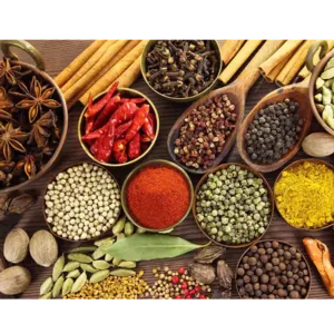 SPICE - Image 2