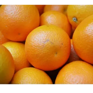 ORANGE - Image 2