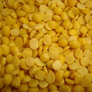 Dal Agriculture - Image 3