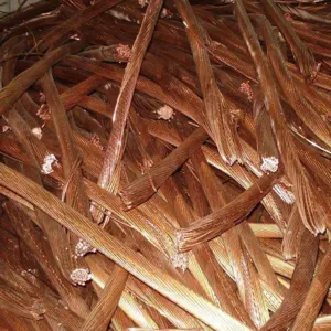 Copper wire scraps, OCC, Processing units, Computer scraps, Cpu ceramic processor scraps, Used Rails, Motherboards, Hms 1&2, Metal SCRAP, Aluminium, Lead ingots, Copper Cathodes and more. by AFG GLOBAL