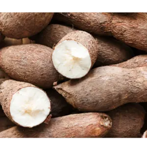 CASSAVA - Image 2