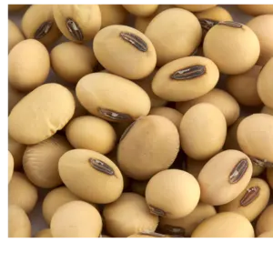 SOYBEAN by Seamax Nigeria Limited