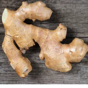 GINGER by Seamax Nigeria Limited