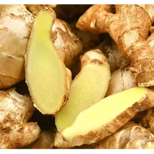 GINGER - Image 2