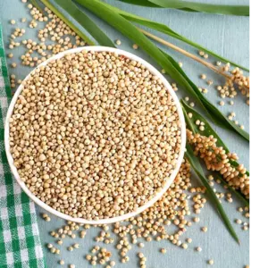 SORGHUM by Seamax Nigeria Limited