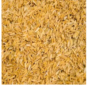 RICE HUSK