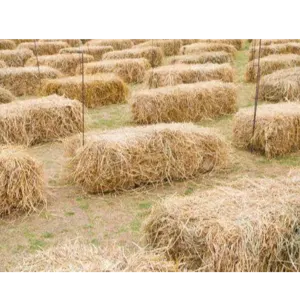 RICE STRAW