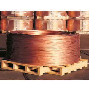 COPPER - Image 2