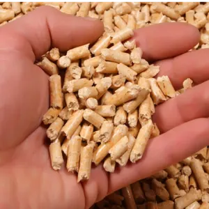 Wood Pellet & Biomass Fuel Pellet