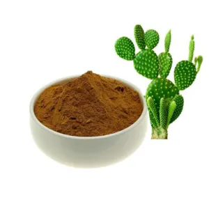 Nopal Powder by Fazcom