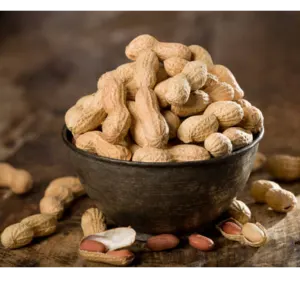 Groundnut by BELIVE EXPORT IMPORT