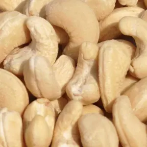 Cashew Nuts