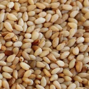 Sasame Seeds by AgroNGA