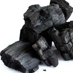 Charcoal - Image 2