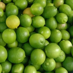 Lemon by Eknath Exports