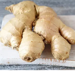 Ginger by Omar-Gen LLC