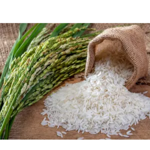 Non Basmati Rice - Image 2