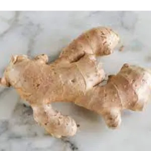 ginger by BSB COMMODITIES CONSULTORIA E INTERMEDIAÇÃO LTDA