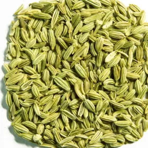 fennel by Egyblends