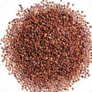 marjoram seeds by Egyblends