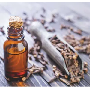 CLOVE OIL
