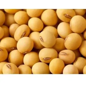 SOYABEAN NON GMO by Amg empire invest
