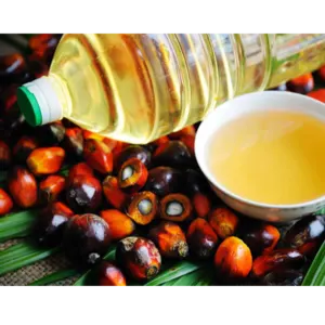 palm oil by Amg empire invest