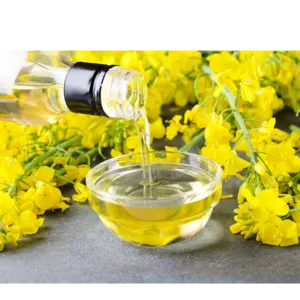 RAPE SEED OIL by Amg empire invest