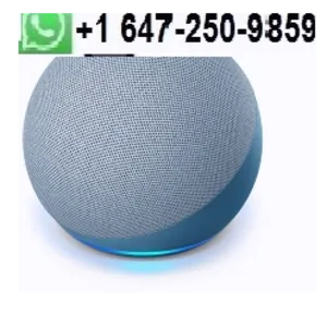 Amazon Echo (4th gen) by Byco Tech