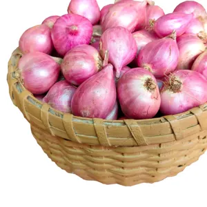 Onion