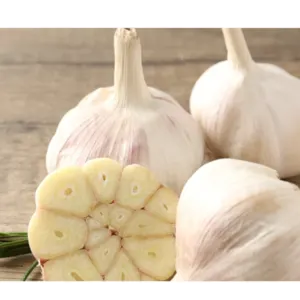 garlic