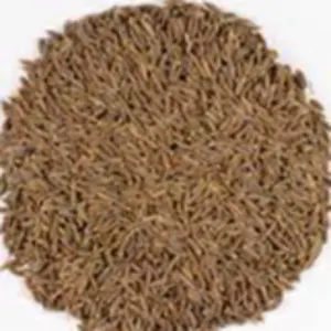 cumin by sumandlik internationals pvt,ltd