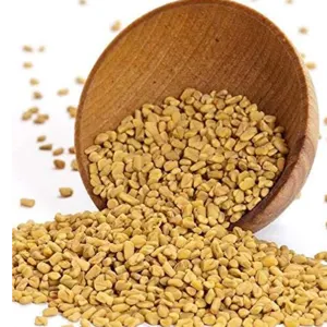 fenugreek seed by sumandlik internationals pvt,ltd