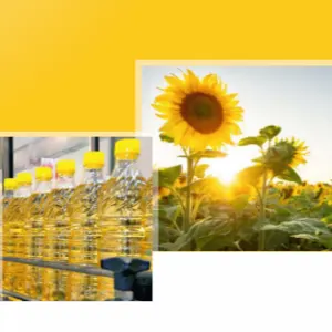 We supply best Refined Sunflower oil and other edible oils.... - Image 3