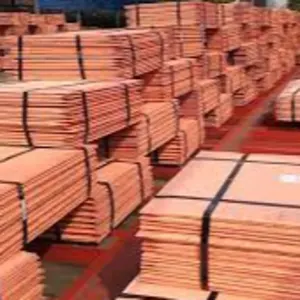 Copper Cathoad by HASAN ENTER[RISES