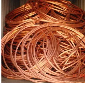 Copper Millberry