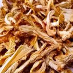 Dried Mushrooms