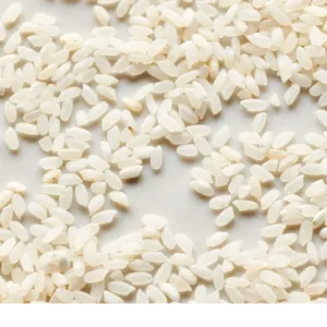 Short Grain by Jasmine Rice