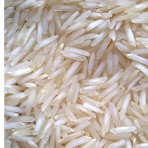 Super 1509 by Jasmine Rice