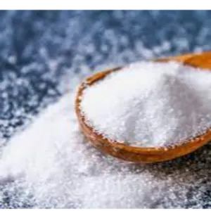 Salt by Indo Java International