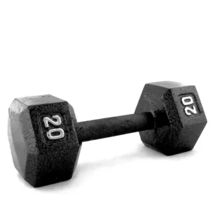 Cast iron hex dumbbell by Gujarat Casting Co.
