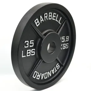 Cast Iron Weight Plate - Image 3