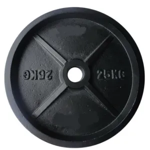 Cast Iron Weight Plate - Image 5